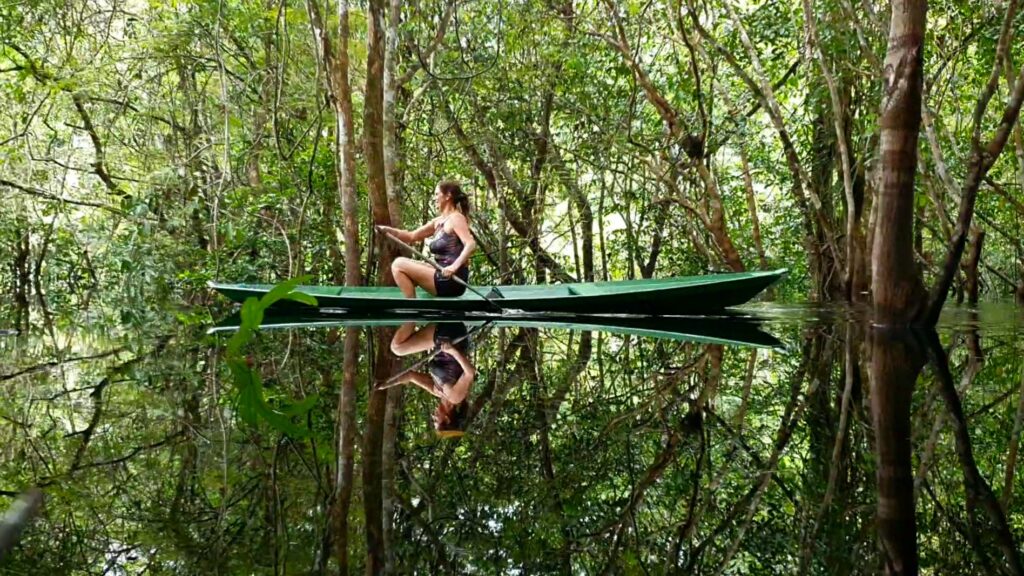 As geografias que emocionam: Biomas inspiradores